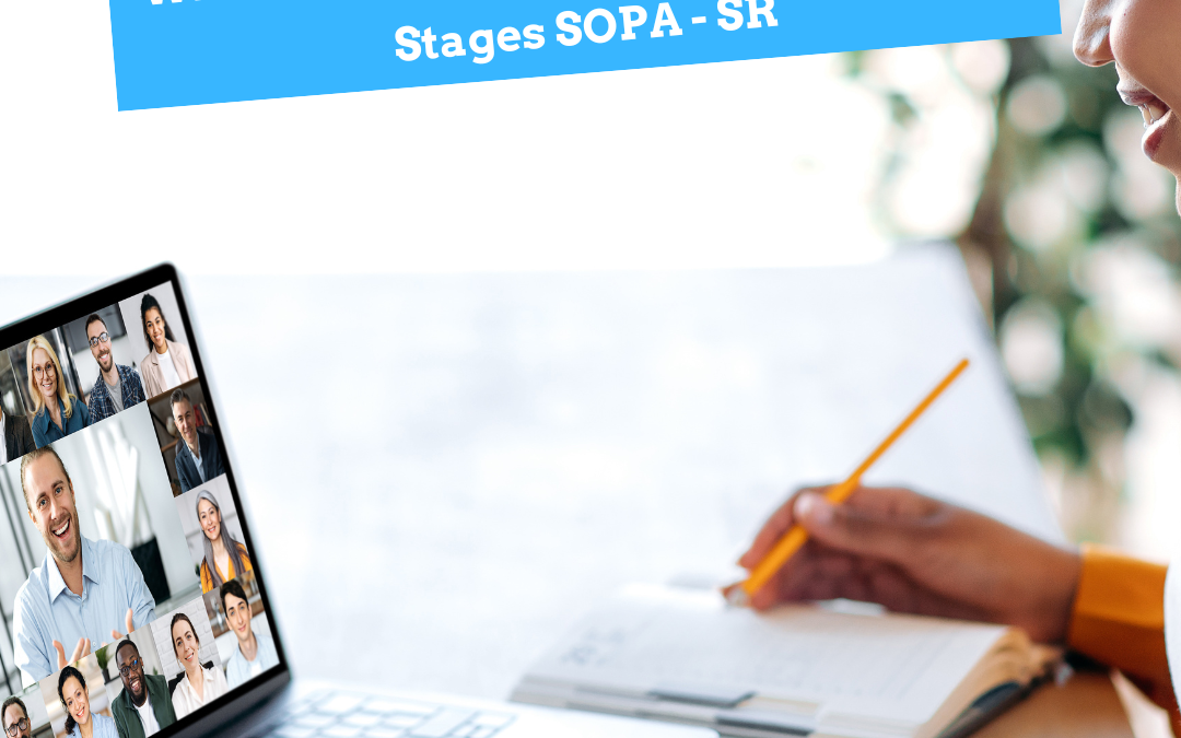 Webinaires pour les étudiants en master MEEF 1er degré en stages SOPA et SR 