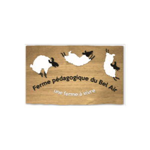Design sans titre (59)
