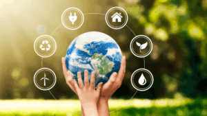 Transmettre la médiation scientifique : retour sur l’expérimentation à l’INSPÉ de l’académie de Versailles